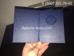 Диплом магистра 2004-2009 годов с заполнением, обложка